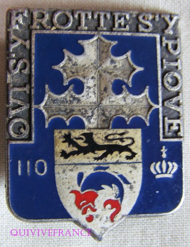 In11359 insigne 110 - -,