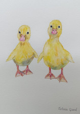 2 canetons à l'aquarelle, les