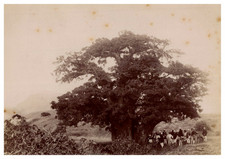 Afrique, Cap-Vert, Régiment