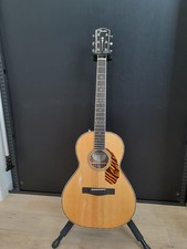 Guitare électrique acoustique