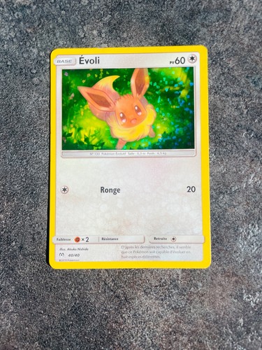 Carte pokémon evoli 40 - carte, 40/40