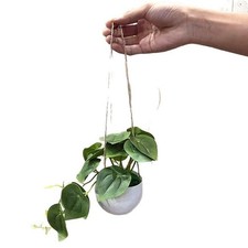 Plante Artificielle Réaliste