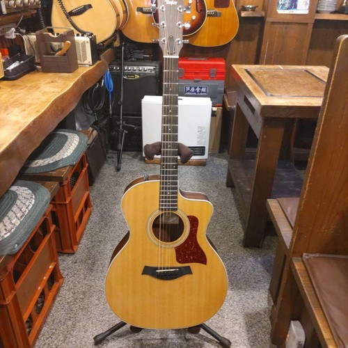 Guitare électrique acoustique