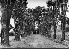 Carte LA COQUILLE Maison