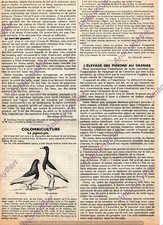  LE PIGEON PIE ANCIEN ELEVAGE AU GRENIER COLOMBICULTURE ARTICLE DE PRESSE 1939