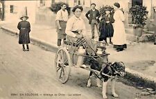 CPA/ DEP 45 /en Sologne /