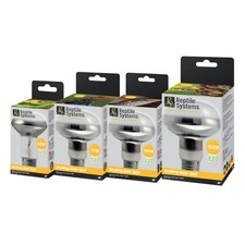 Reptile Systems Basking