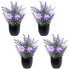 Fausse Plantes Plantes
