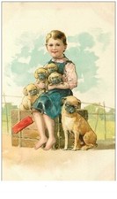 chien . n°38143.humanisé.pekinois