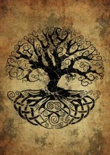 PLAQUE MÉTAL   Yggdrasil