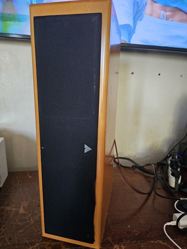 Vienna acoustics maestro - vienna,