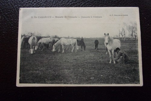 France carte postale en - -,