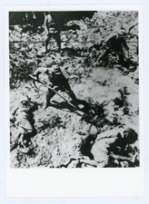 Photo presse bayonet - presse,,