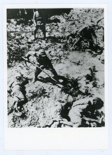 Photo presse bayonet chinese - bayonet,