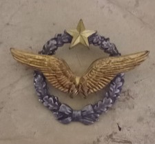 Insigne brevet pilote avion - -,