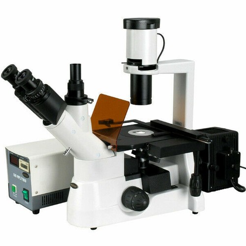 Microscope inversé - inversé, À