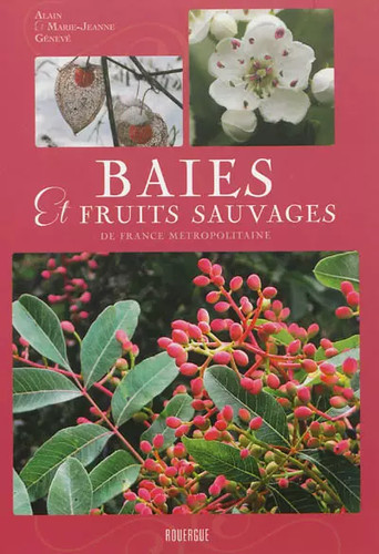 Baies fruits sauvages - et, de