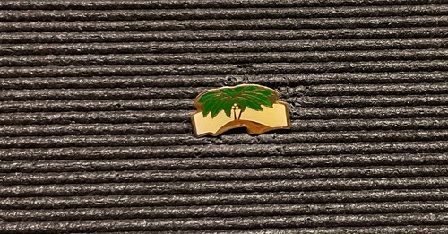Pin collector rare - pin’s,
