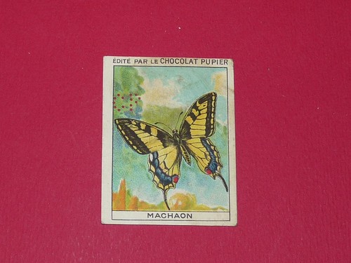 Chromo pupier 1930 album - chromo,
