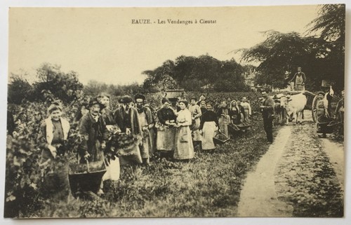 Cpa eauze les vendanges - cpa, eauze,