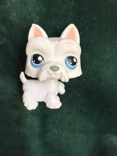 Petshop chien westie - 💖🌺petshop,