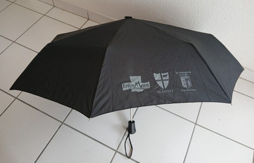 Parapluie pliant automatique