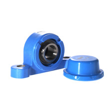 P2BC30M-CPSS-DFH SKF 30 x 161