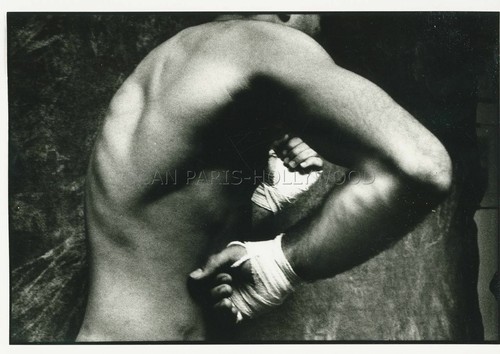 James fox masculin - fox, male
