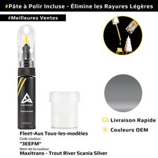 Retouche pour Fleet Aus Code: 3EEFM Maxitrans / Trout River Scania Silver