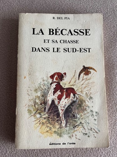Becasse chasse dans - la,