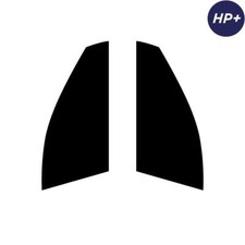 Pour Honda Legend 2006-2016 Carbone Pré Coupe Vitre Teintée Avant Premium HP +