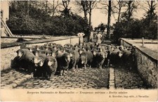 CPA Rambouillet Troupeaux