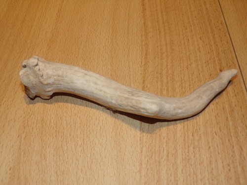 Bois cerfs cm - de, 17,7