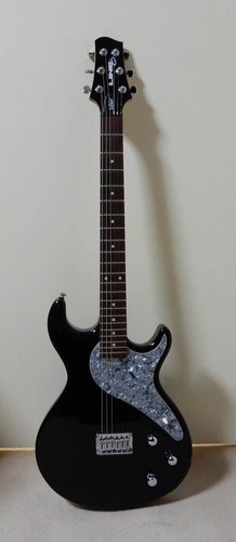 Electric guitar line variax - electric,