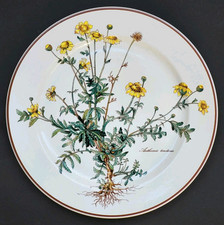 Sublime GRANDE ASSIETTE