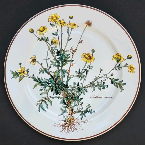 Sublime grande assiette - grande,