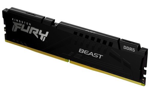 Kingston fury beast 16go - beast,