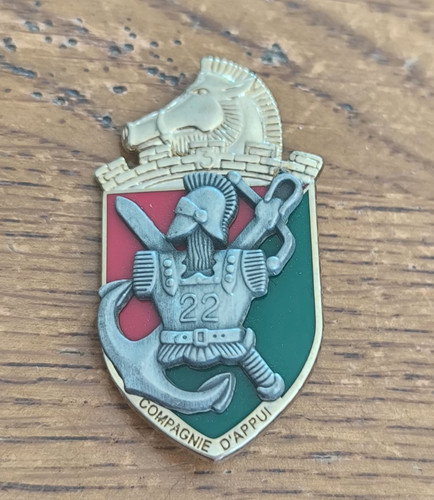 Insigne régiment du - insigne,