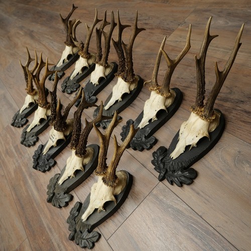 Gtk20 121 lot - lot, 11