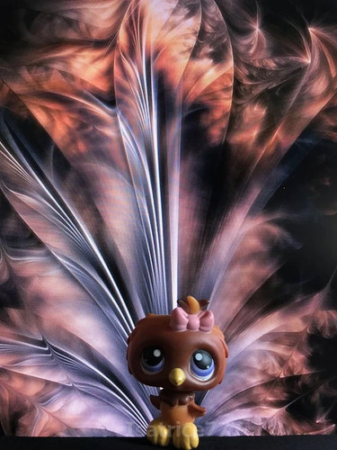 Petshop lps hasbro hibou - petshop,