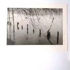 Loïc Le Loët  Photographe