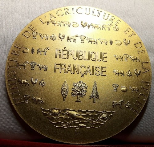 Superbe médaille bronze mdp - superbe,