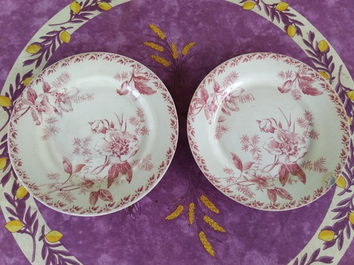 Assiettes plates terre fer - plates,