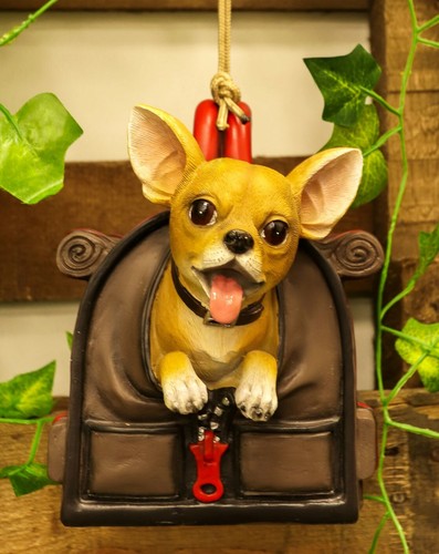 Ebros teacup chihuahua dog - ebros,
