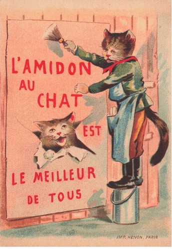 Mikii 359 chromo chats - mikii-359,