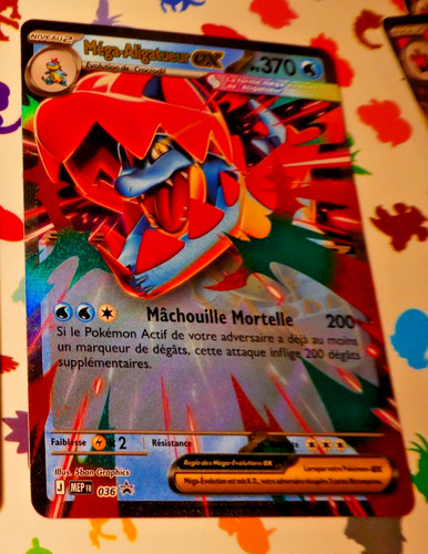 Pokemon heros transcendant - heros,