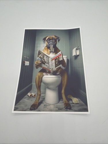 Affiche chien boxer drôle - affiche, wc