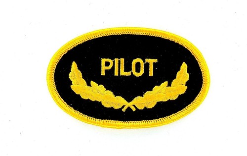 Marine naval aviation - marine, pilot