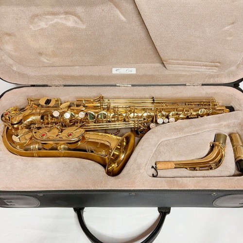 Yanagisawa alto saxophone - yanagisawa,