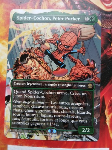 Carte magic spider cochon - carte,